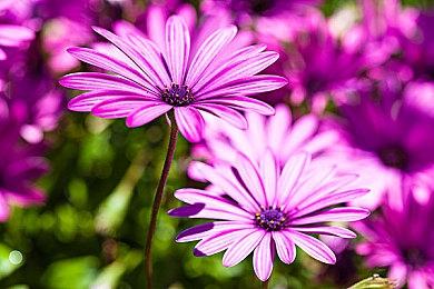 国风仙侠MMO端游《诛仙世界》Steam页面开放 明年发售